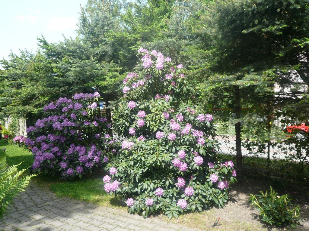 Dworek Genny Polanica-Zdrój Exterior foto